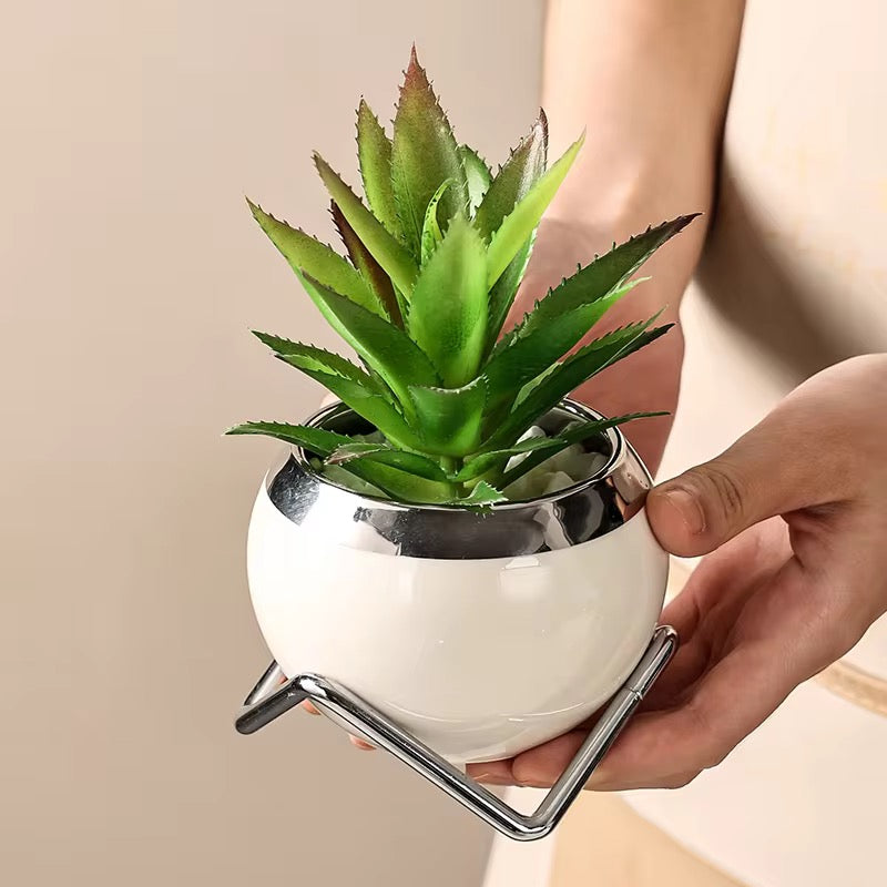 Ceramic Desk Planter with Live Succulent