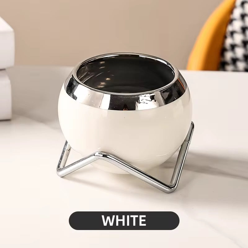 Ceramic Desk Planter with Live Succulent