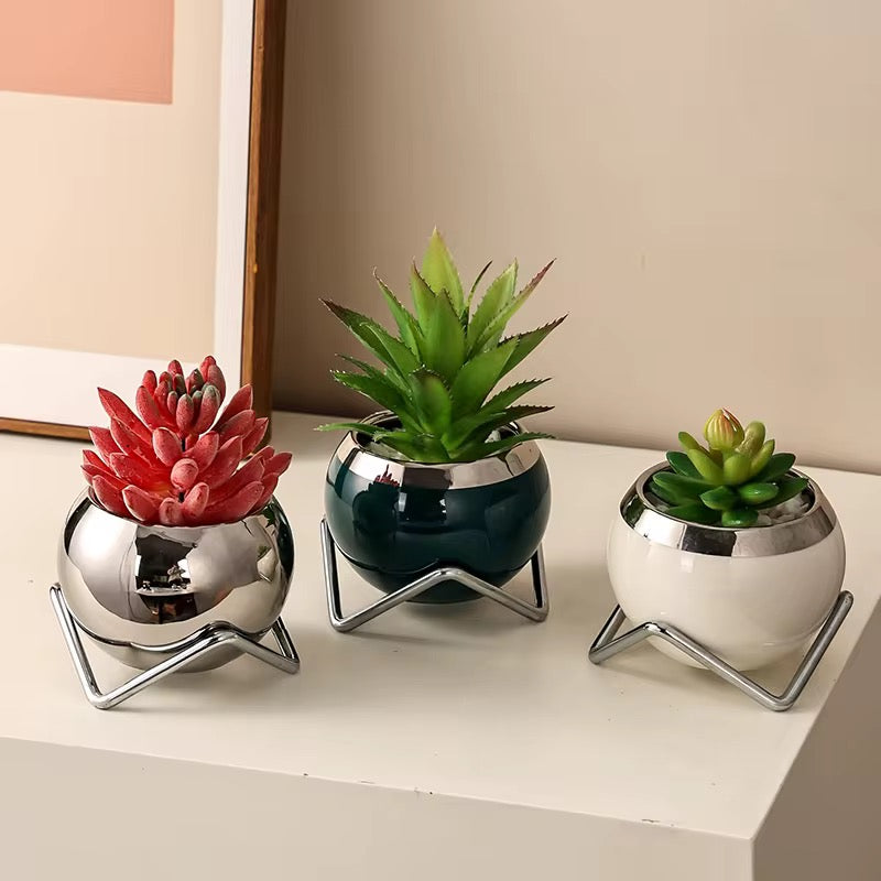 Ceramic Desk Planter with Live Succulent