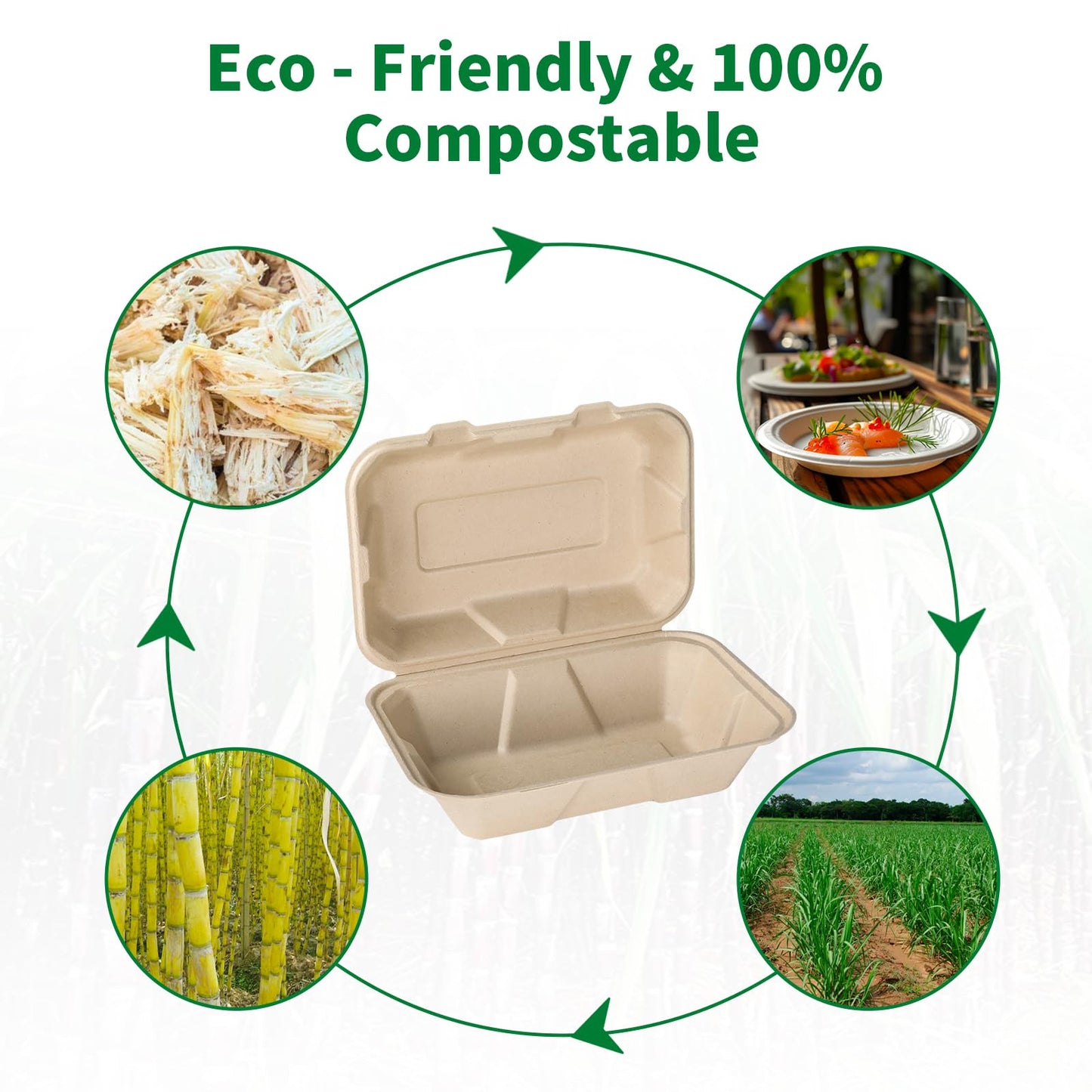 Aricsen 100 Pack 3 Compartment Compostable 8x9 Inch Takeout Lunch Box Containers with Lid To Go Take Out Clamshell for Food, Disposable Eco-Friendly Biodegradable Bagasse, PFAS-Free, Brown