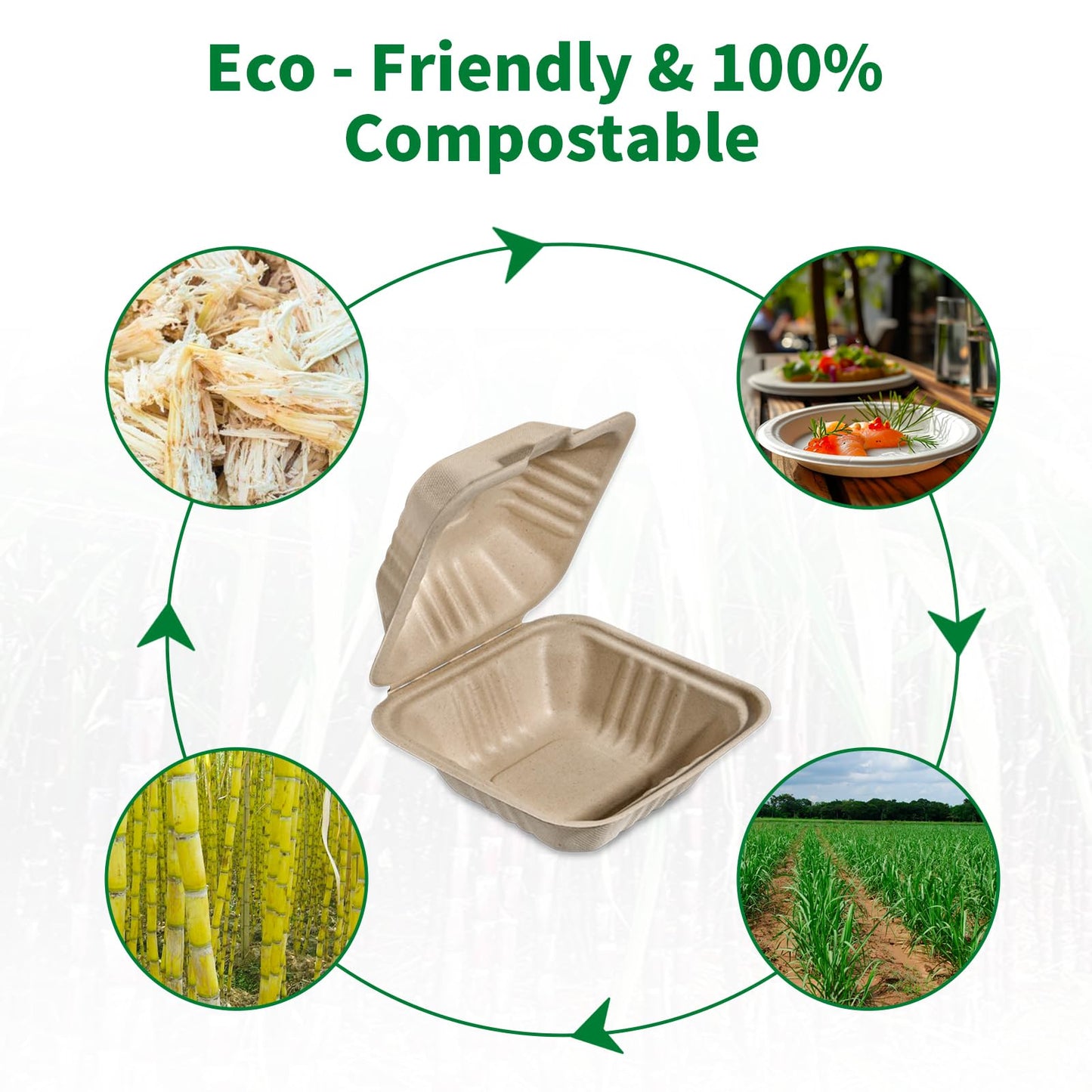 Aricsen 100 Pack 3 Compartment Compostable 8x9 Inch Takeout Lunch Box Containers with Lid To Go Take Out Clamshell for Food, Disposable Eco-Friendly Biodegradable Bagasse, PFAS-Free, Brown