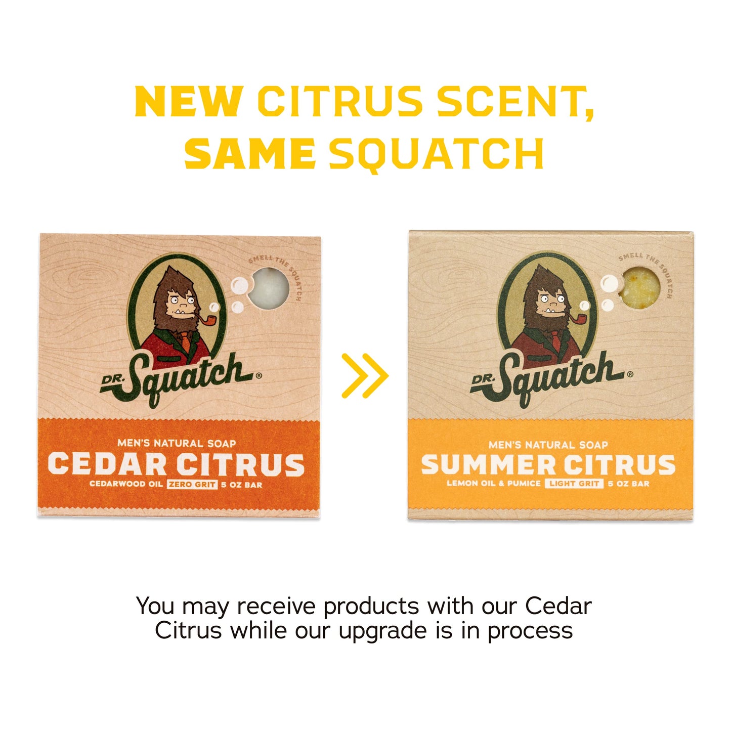 Dr. Squatch Natural Bar Soap for Men Variety Gift Set - Cold Process Soap No Harsh Chemicals - Rainforest Rapids, Coconut Castaway, Fresh Falls, Summer Citrus & Eucalyptus Greek Yogurt (5 oz, 5-Pack)