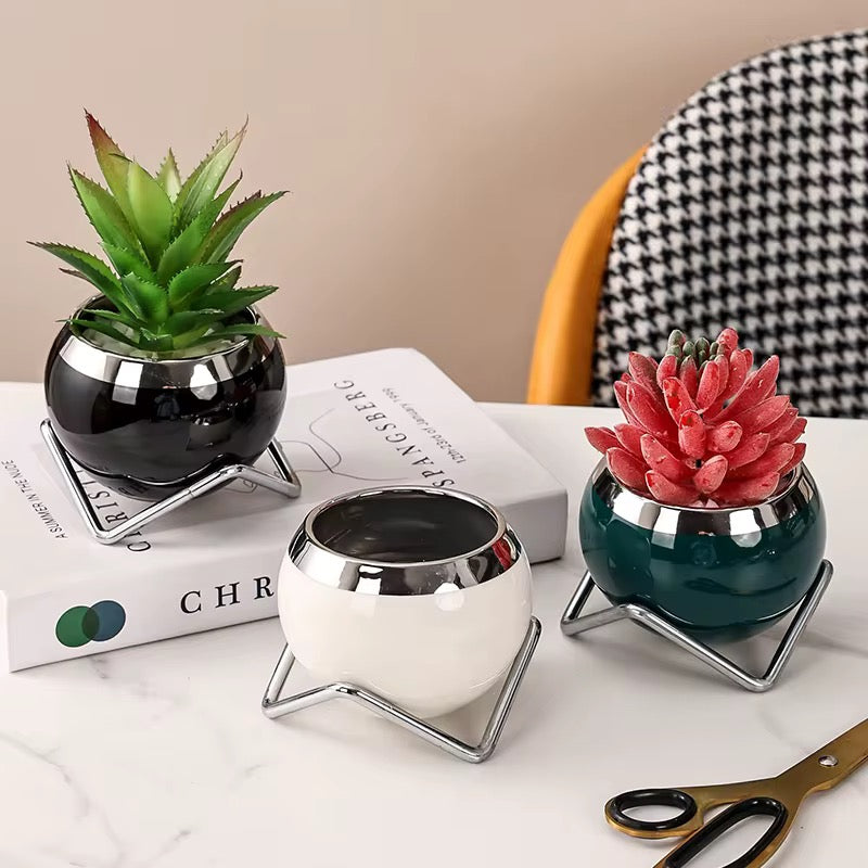 Ceramic Desk Planter with Live Succulent