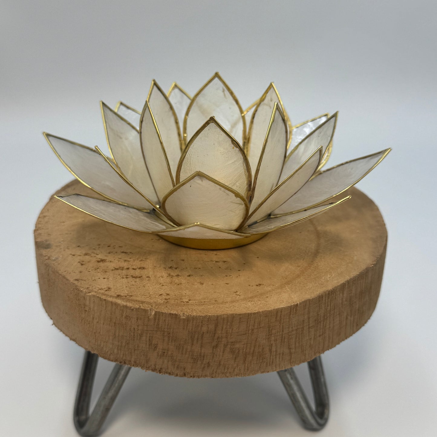 Capiz TeaLight Holder