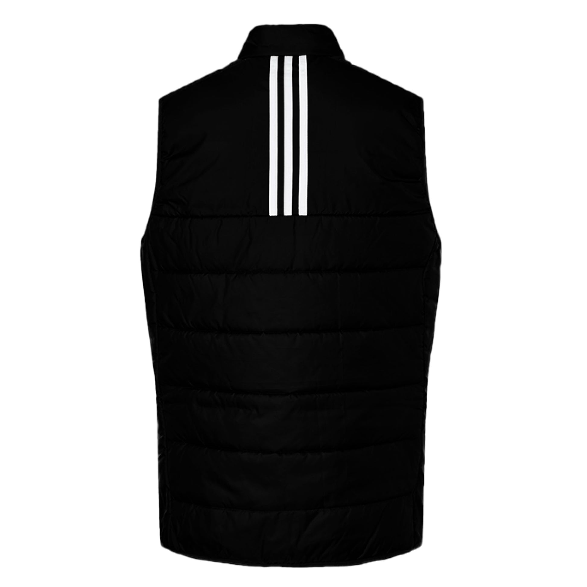 Black - BACK